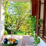 Wild Grape - Vadszolo, Romantic Vineyard House With Garden And View 別荘 バダチョニトマイ