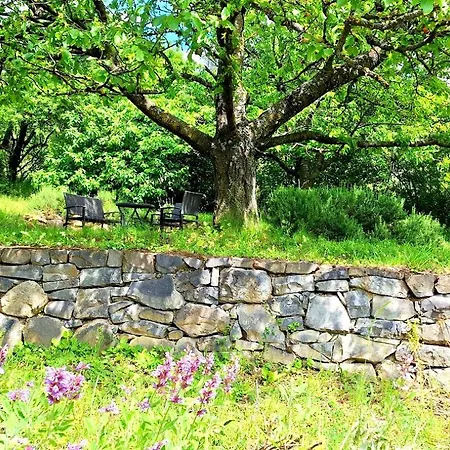 別荘 Wild Grape - Vadszolo *
