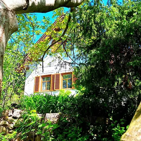 Wild Grape - Vadszolo Casa de Férias *