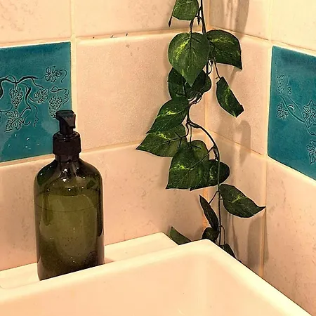 Wild Grape - Vadszolo * Badacsonytomaj