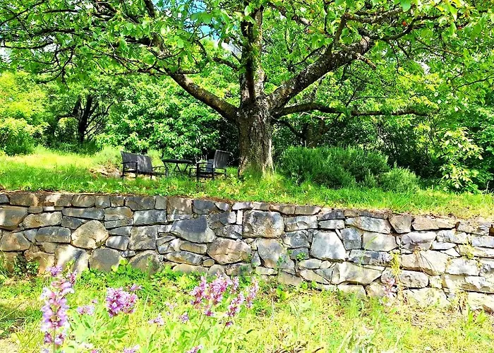 بيت للعطل Wild Grape - Vadszolo, Romantic Vineyard House With Garden And View *